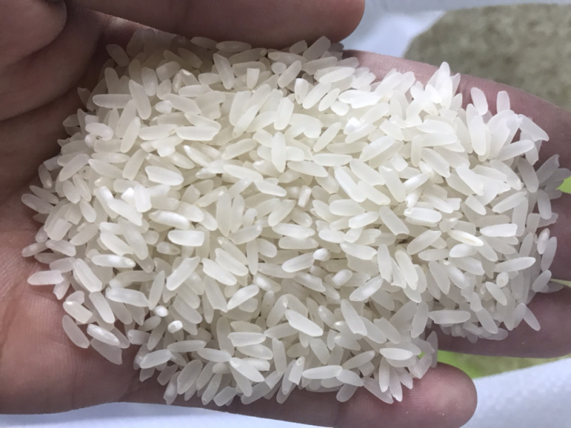 东北正宗珍品稻花香大米长粒香大米场地直发