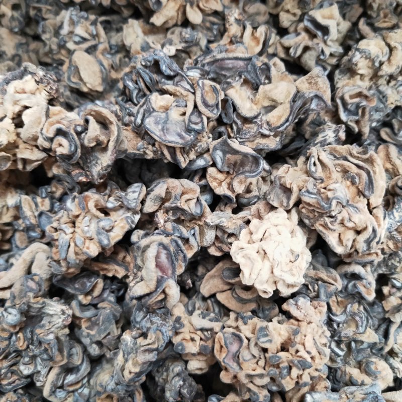 核桃菌，泡发12斤以上质量很好！