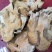 榆耳，片大肉厚，保证质量，非诚勿扰！
