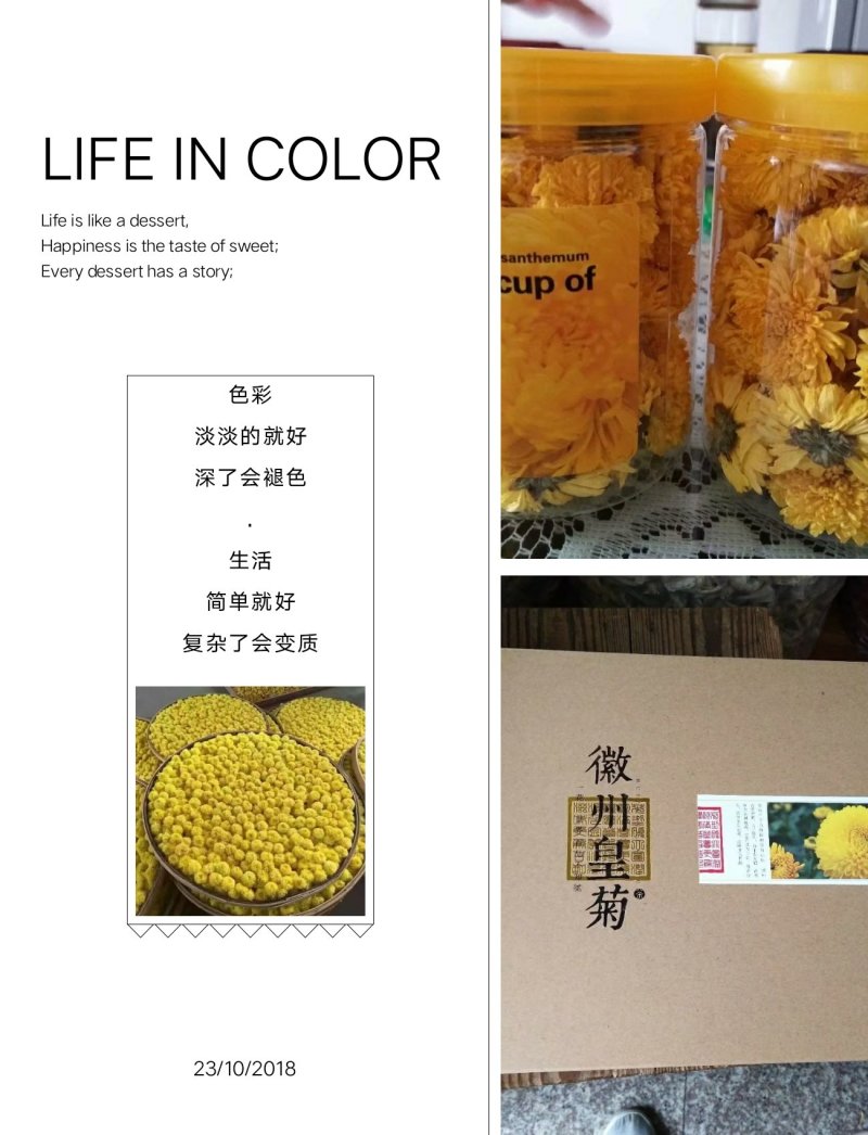 黄山贡菊