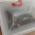 花鲢鱼苗鳙鱼大头鱼雄鱼