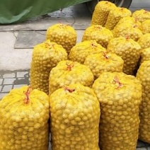 黄龙优质核桃，青皮核桃大量上市
