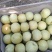 砀山梨