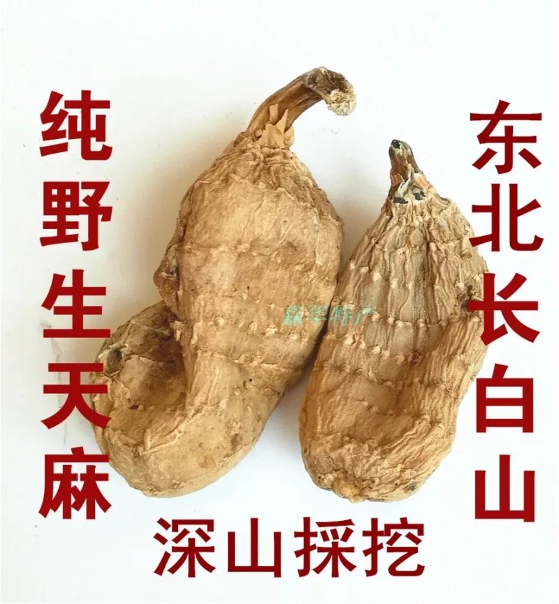 【源头好货】长白山纯野生天麻胜云南昭通天然特级原皮原色