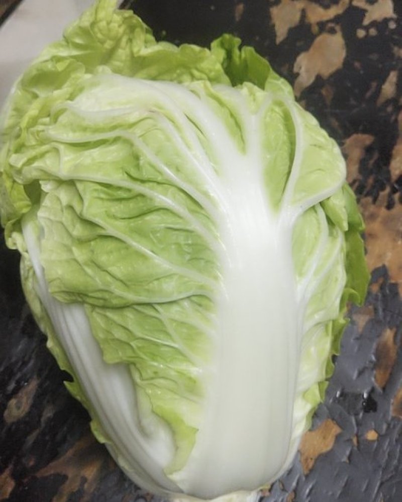 【热卖】白菜江苏夏阳白菜万亩基地持续供应全国发货