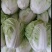 大白菜