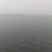 借粮湖野生鱼