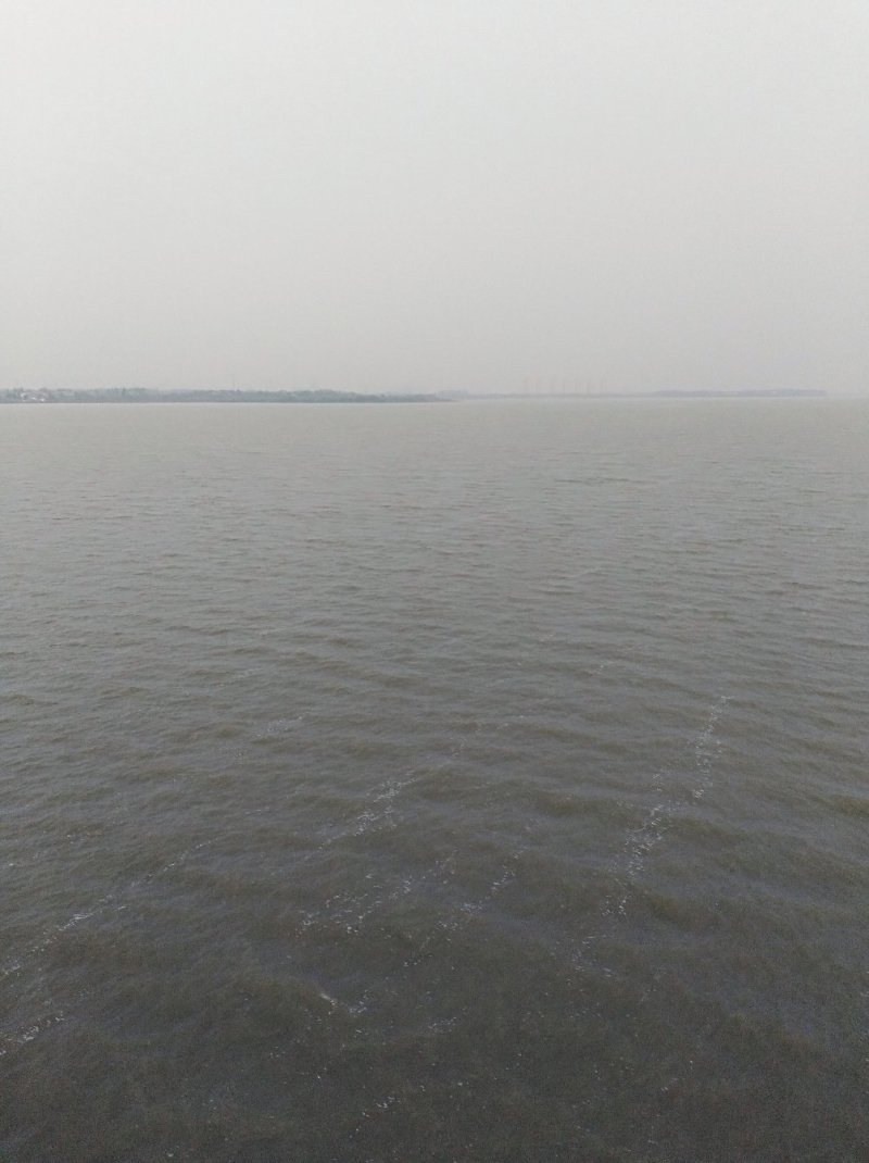 借粮湖野生鱼