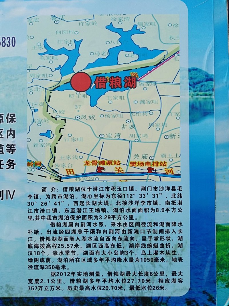 借粮湖野生鱼