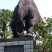 借粮湖野生鱼