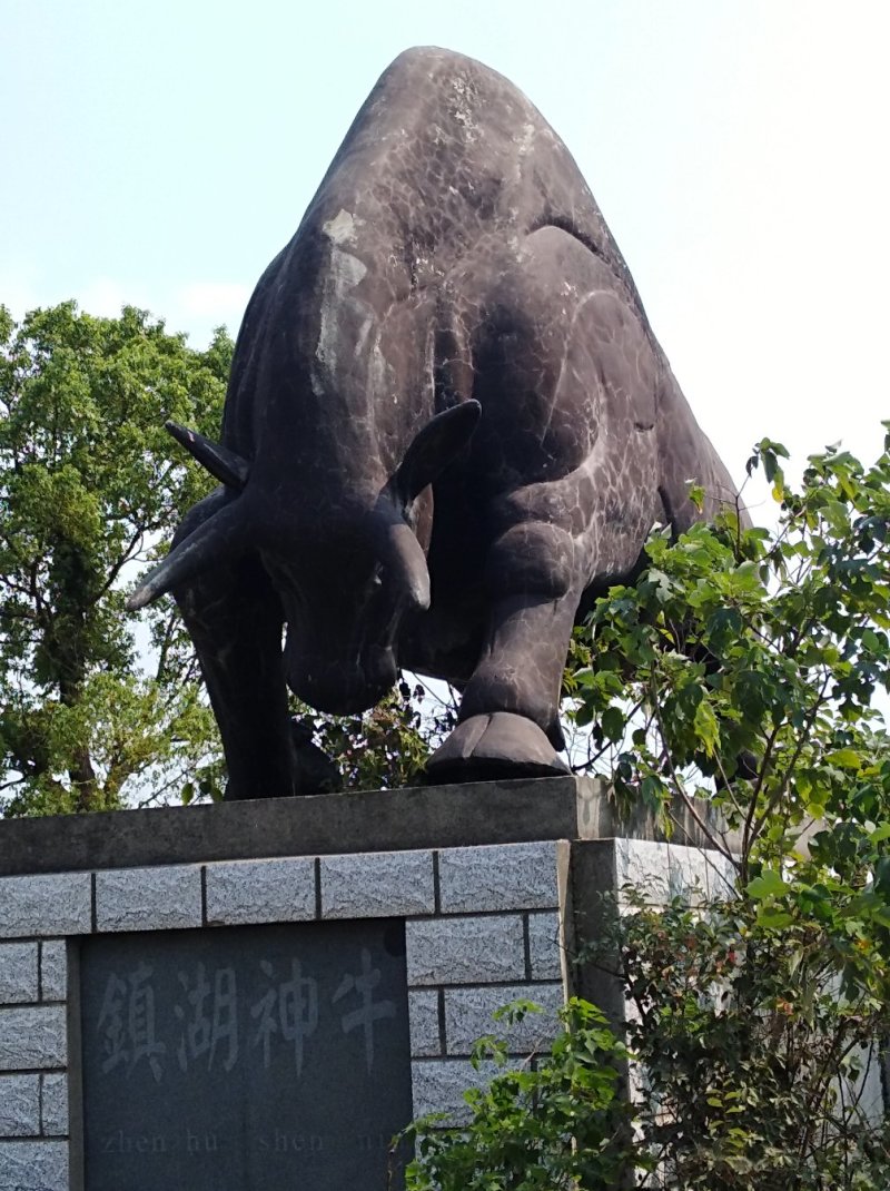 借粮湖野生鱼