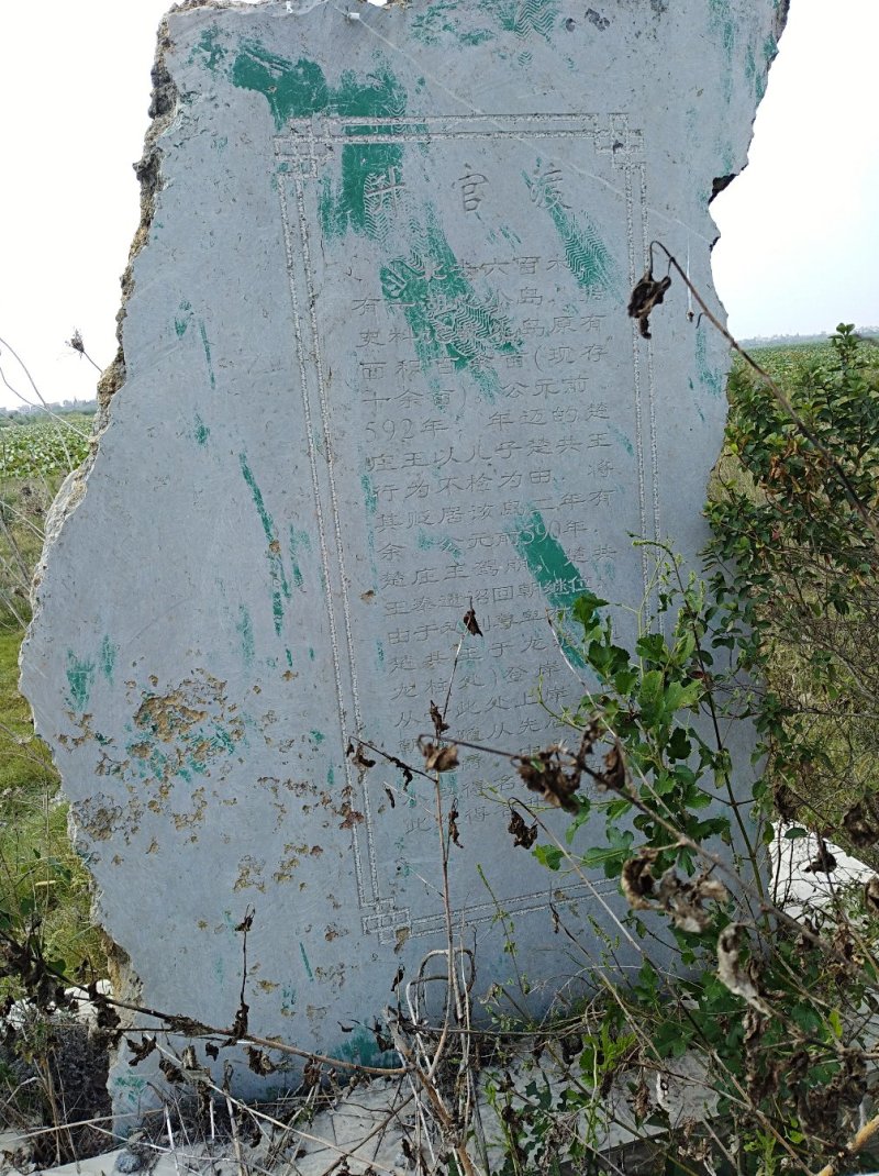 借粮湖野生鱼