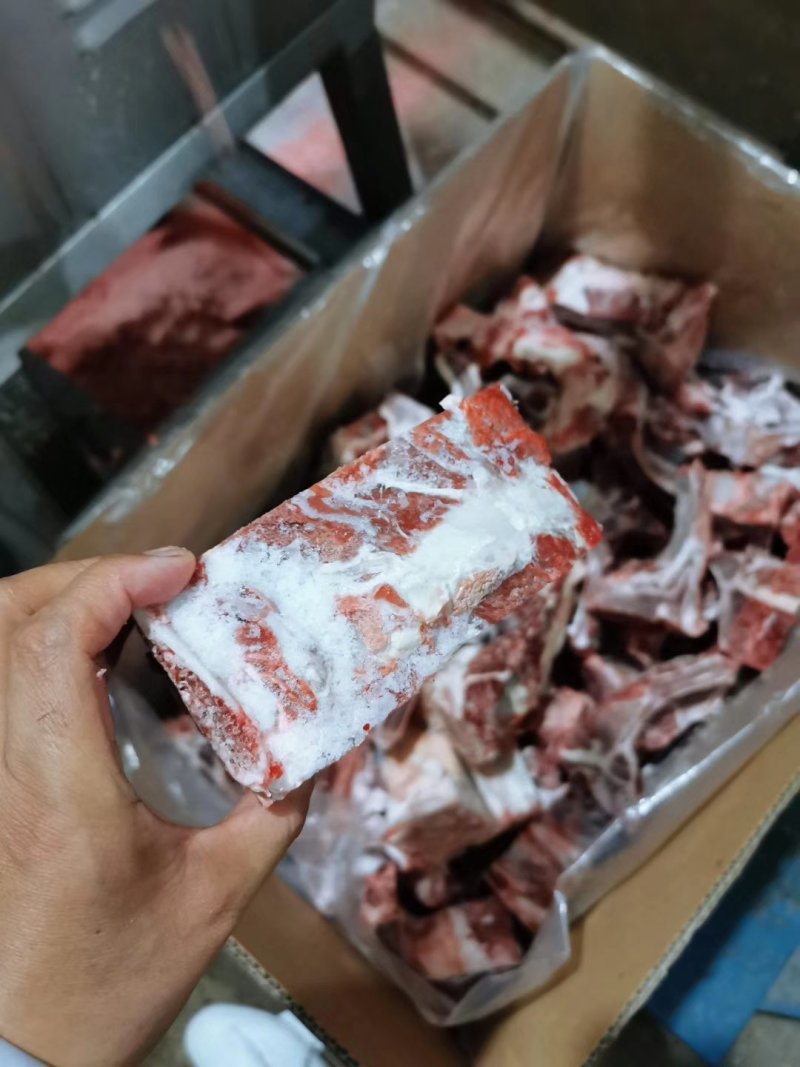牛脊骨