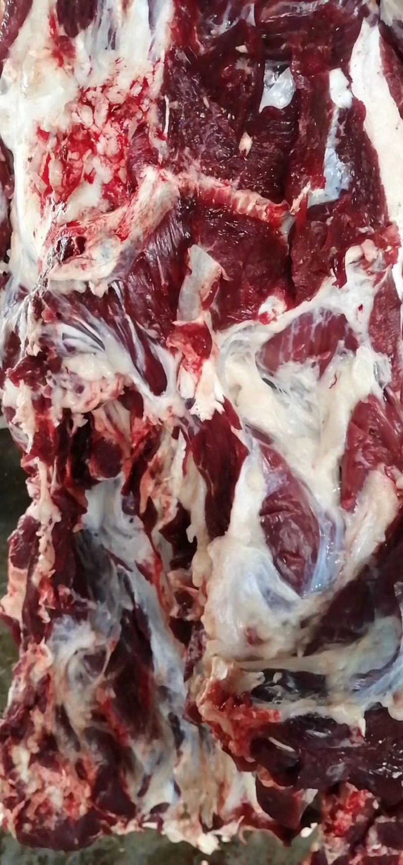 纯干鲜牛肉，质量保证，一手自家屠宰