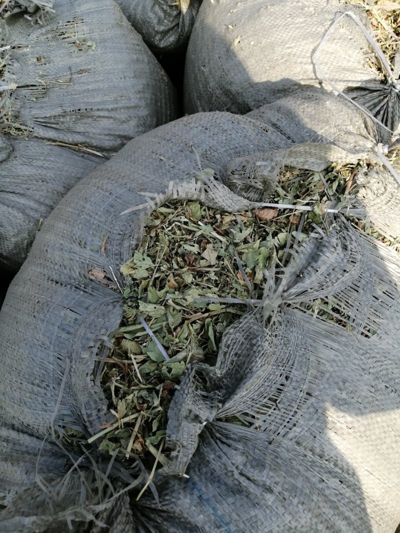 花生秧无地膜，过滚筒筛，颜色绿，干度好，