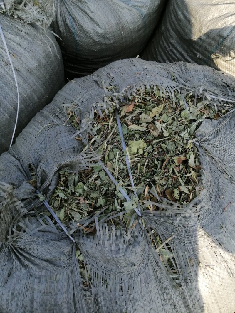花生秧无地膜，过滚筒筛，颜色绿，干度好，