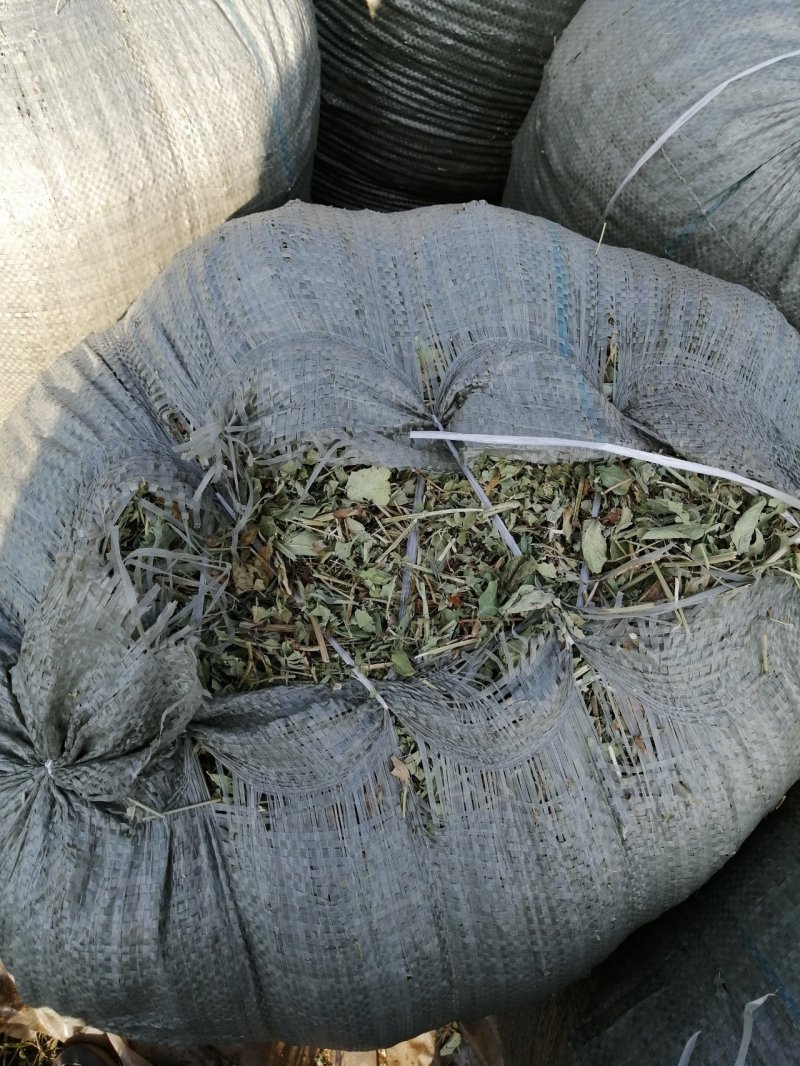 花生秧无地膜，过滚筒筛，颜色绿，干度好，