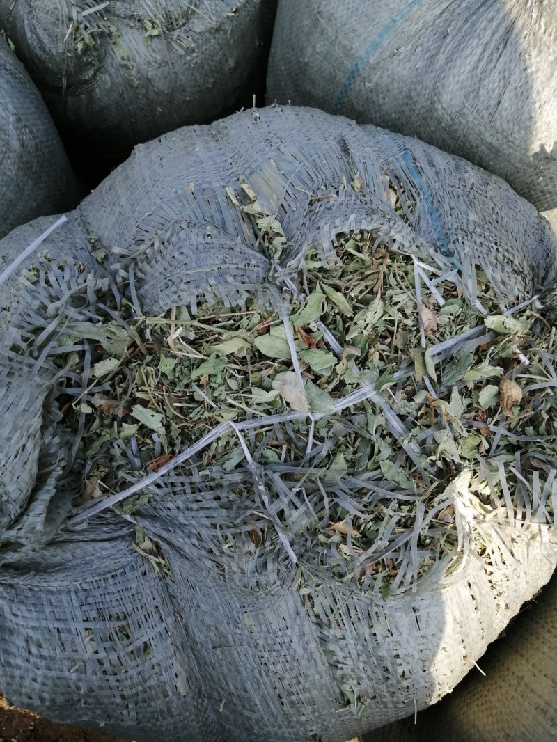 花生秧无地膜，过滚筒筛，颜色绿，干度好，