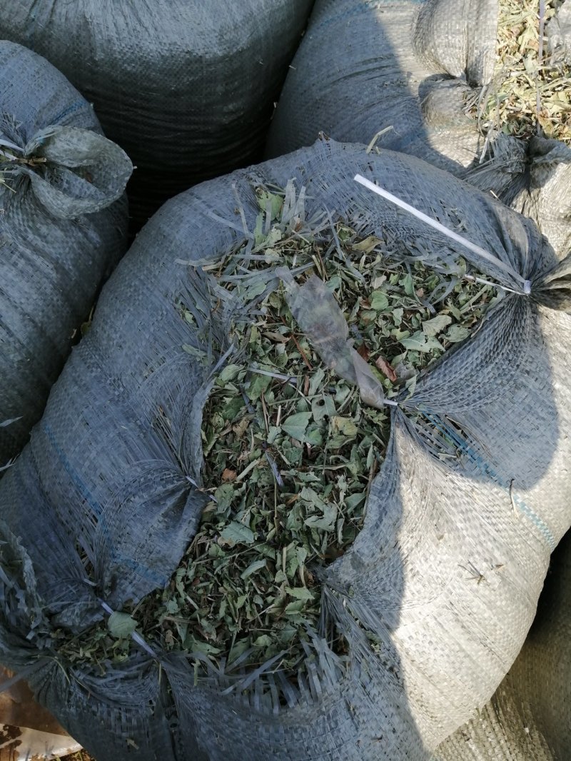 花生秧无地膜，过滚筒筛，颜色绿，干度好，