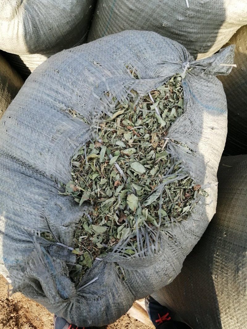 花生秧无地膜，过滚筒筛，颜色绿，干度好，