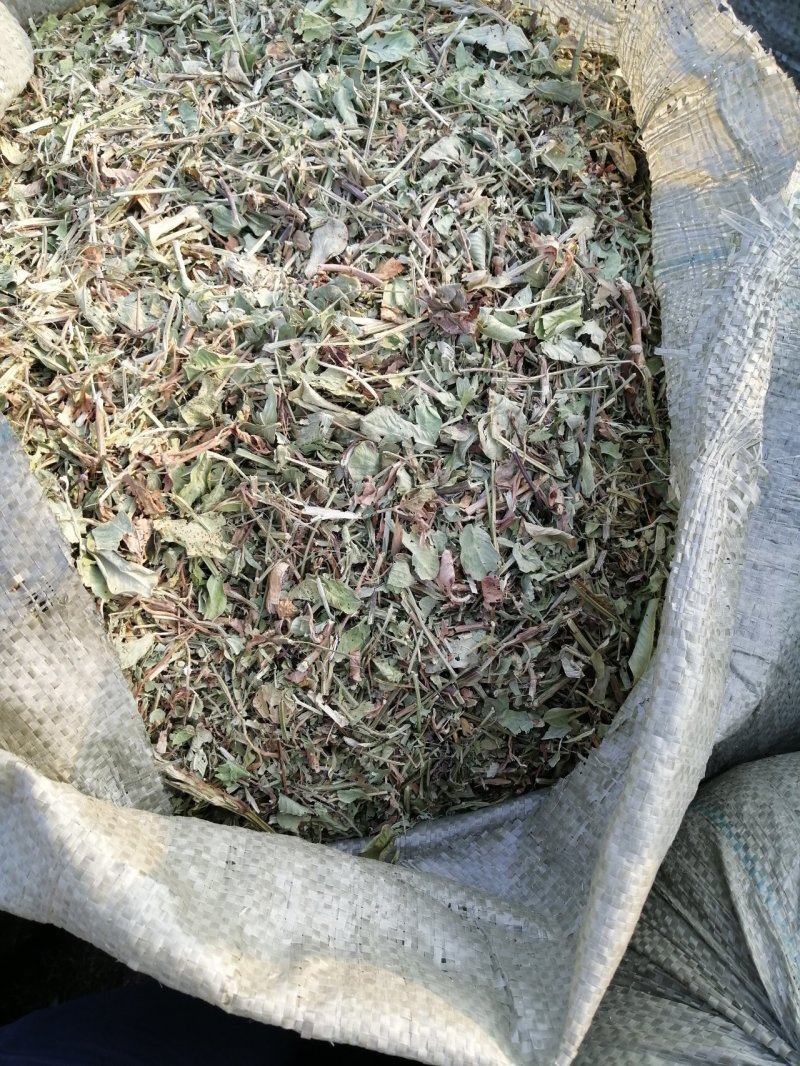 花生秧无地膜，过滚筒筛，颜色绿，干度好，
