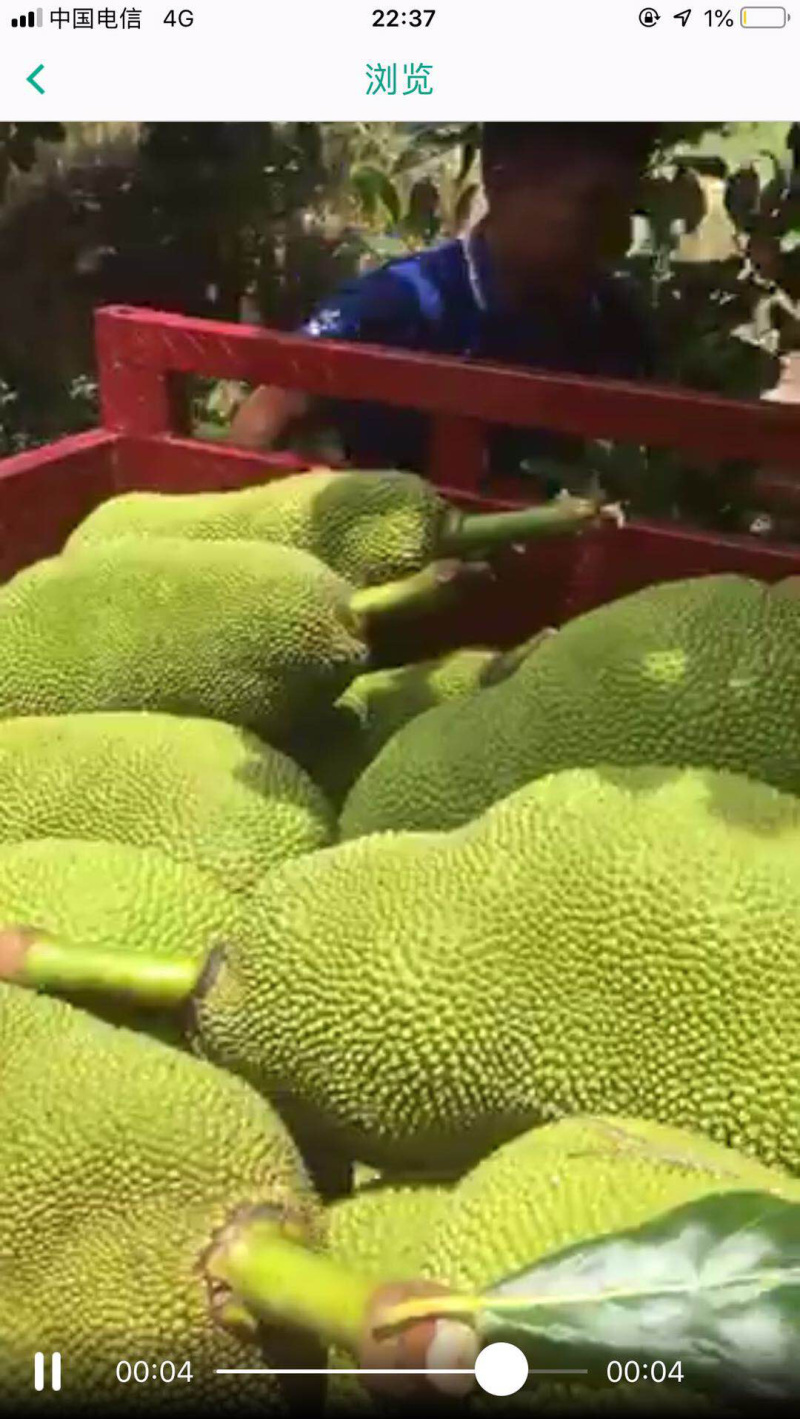 热带水果