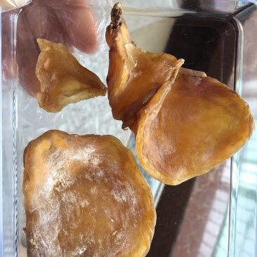 这是一个野鸡鸡宝