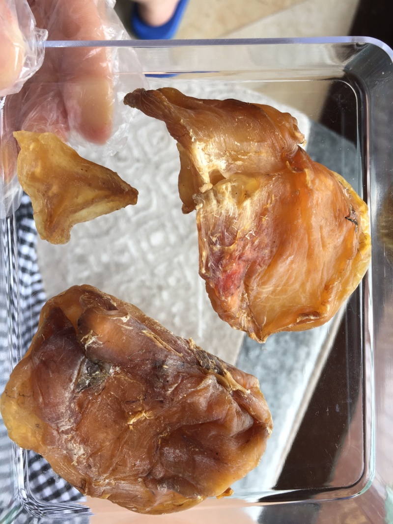 这是一个野鸡鸡宝
