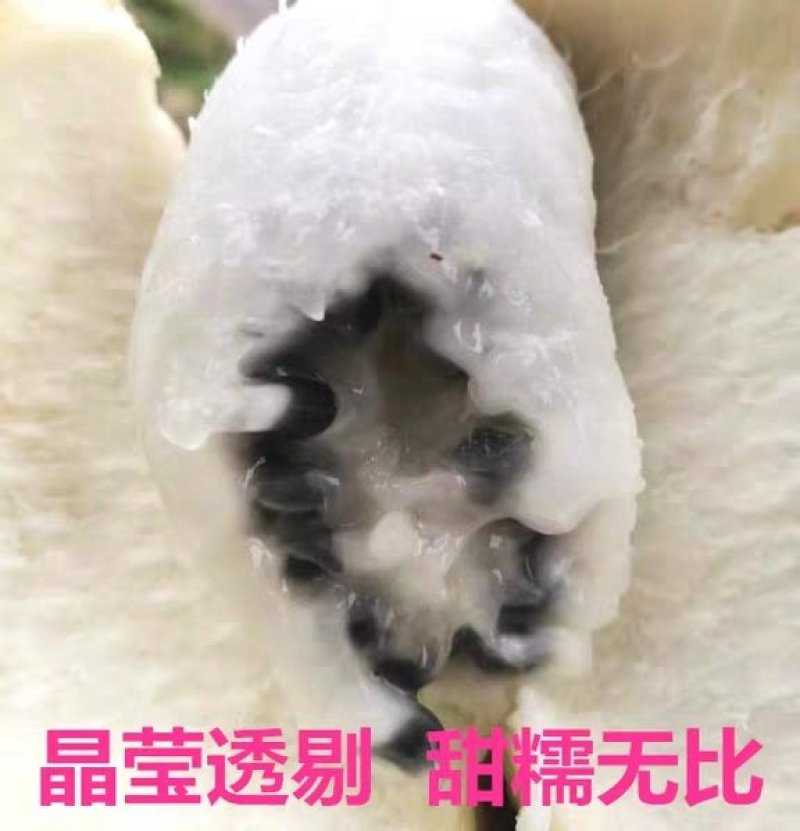 八月瓜