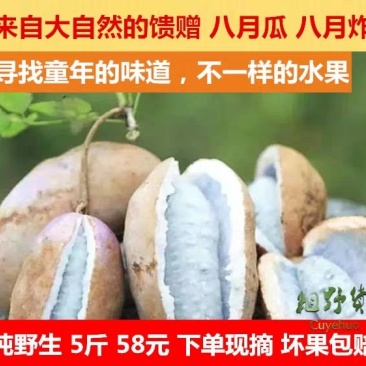 八月瓜