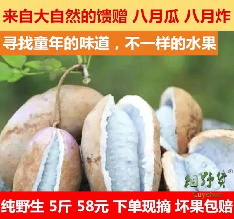八月瓜