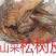 松树皮深山现采剥鲜松树外皮入药