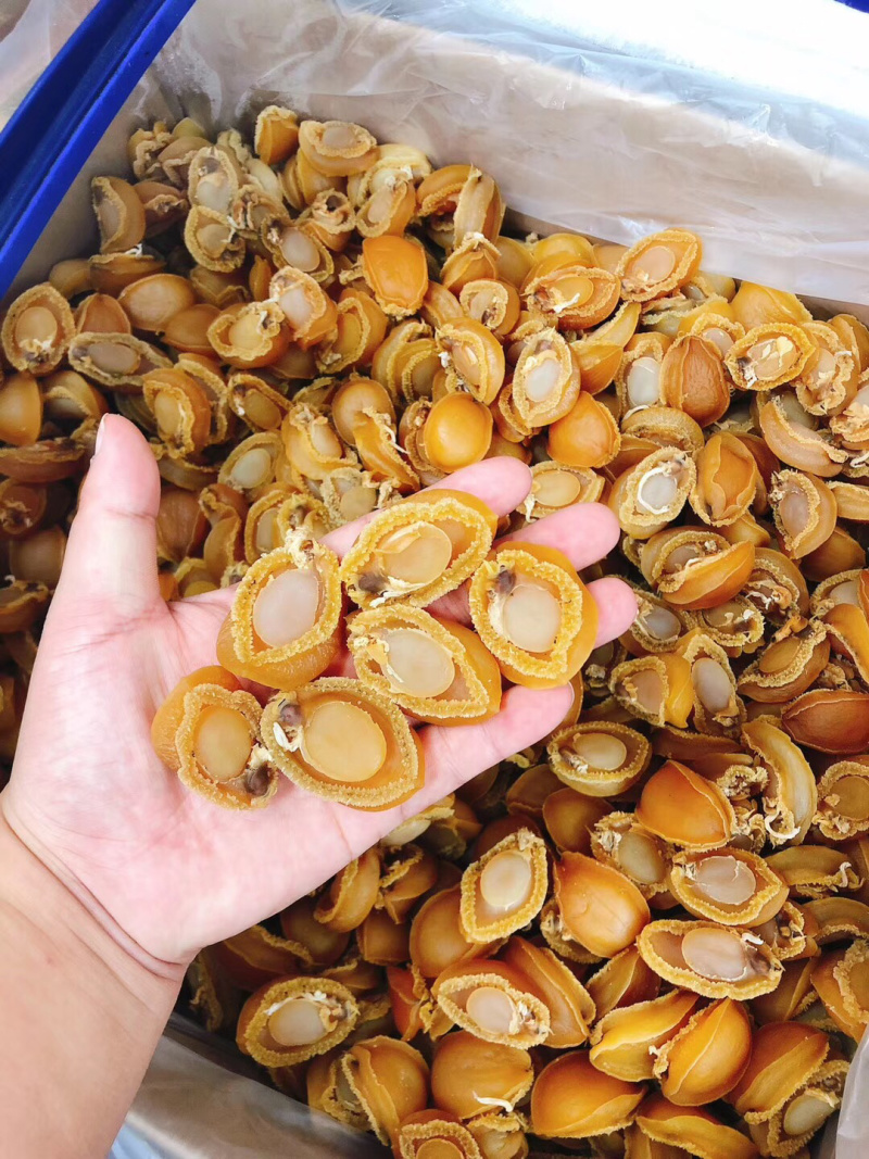 鲍鱼干