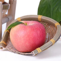 当季山西红富士苹果应季水果现摘10斤有机水果