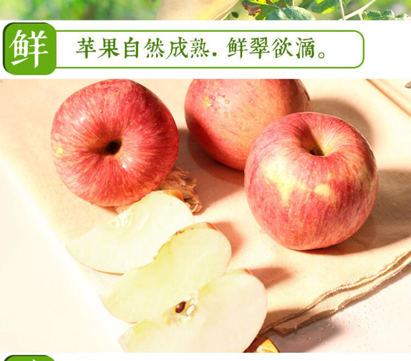 当季山西红富士苹果应季水果现摘10斤包邮有机水果