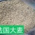 进口大麦，容重620以上，水份14以内，杂质2%以内