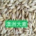 进口大麦，容重620以上，水份14以内，杂质2%以内