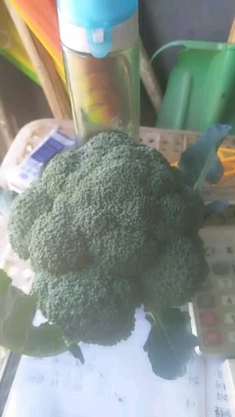西蓝花