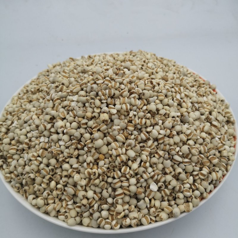 中药材薏仁贵州薏仁米无硫种植基地零售批发