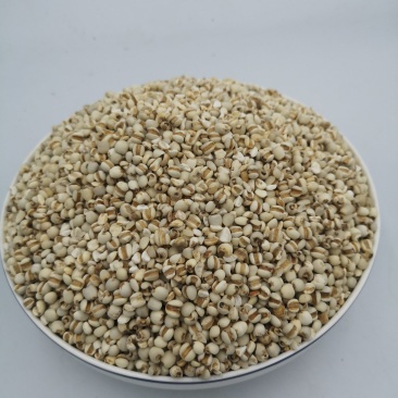 中药材薏仁贵州薏仁米无硫种植基地零售批发