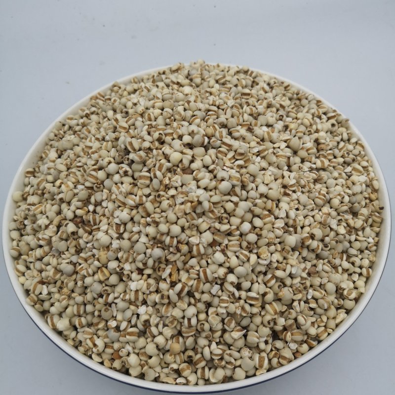 中药材薏仁贵州薏仁米无硫种植基地零售批发