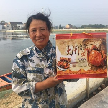 江苏宜兴红膏大闸蟹母蟹批发自产自销一件代发电商淘宝