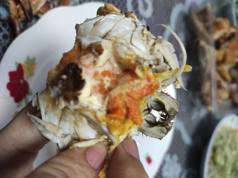 江苏宜兴红膏大闸蟹母蟹批发自产自销一件代发电商淘宝