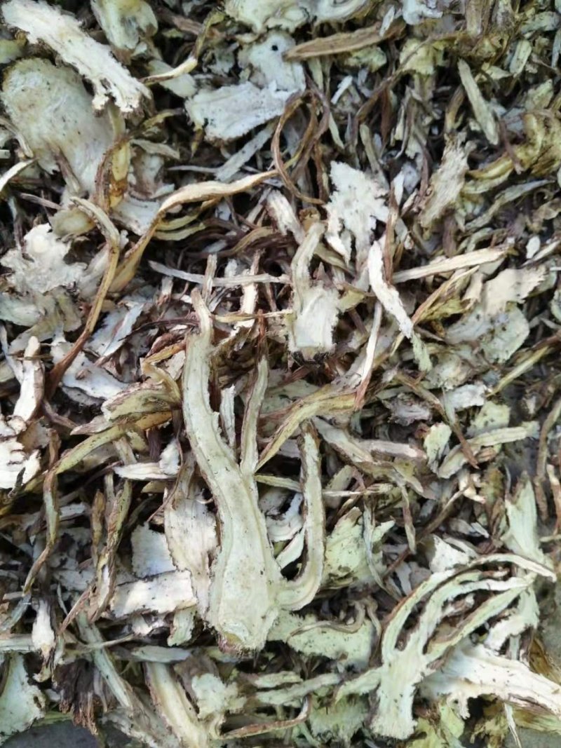 当归药材加工片当归全片和当归尾子片