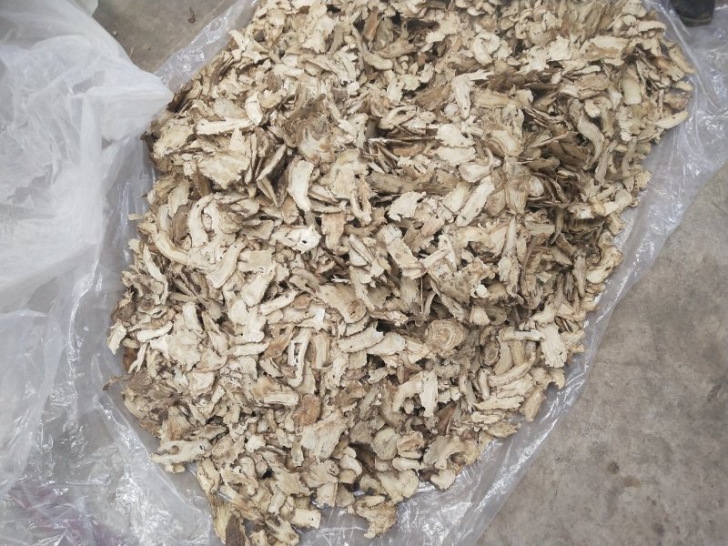 当归药材加工片当归全片和当归尾子片