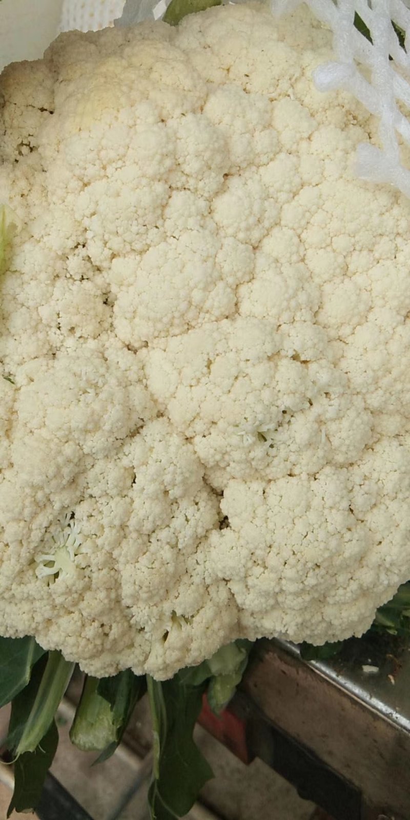 散花菜，基地大量上市有机花菜，货源充足，质量不错。