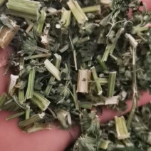 益母草坤草足浴包原料康辰药业批发各种中药材