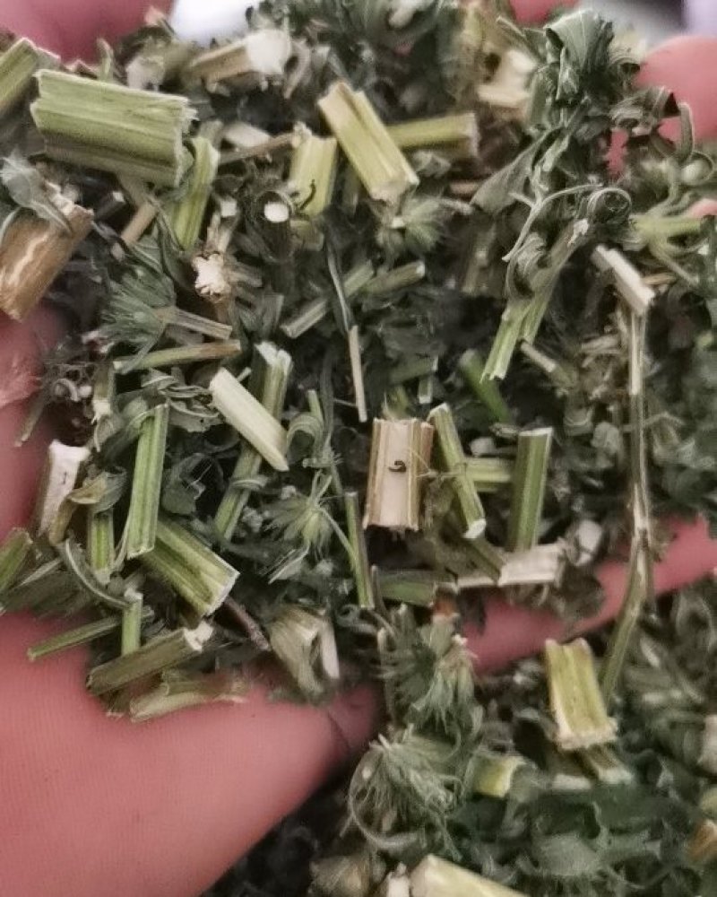 益母草坤草足浴包原料康辰药业批发各种中药材