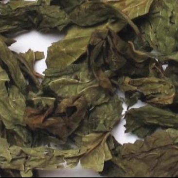 赶风柴，道地药材，质优价实，品质保证，药典标准一公斤起批