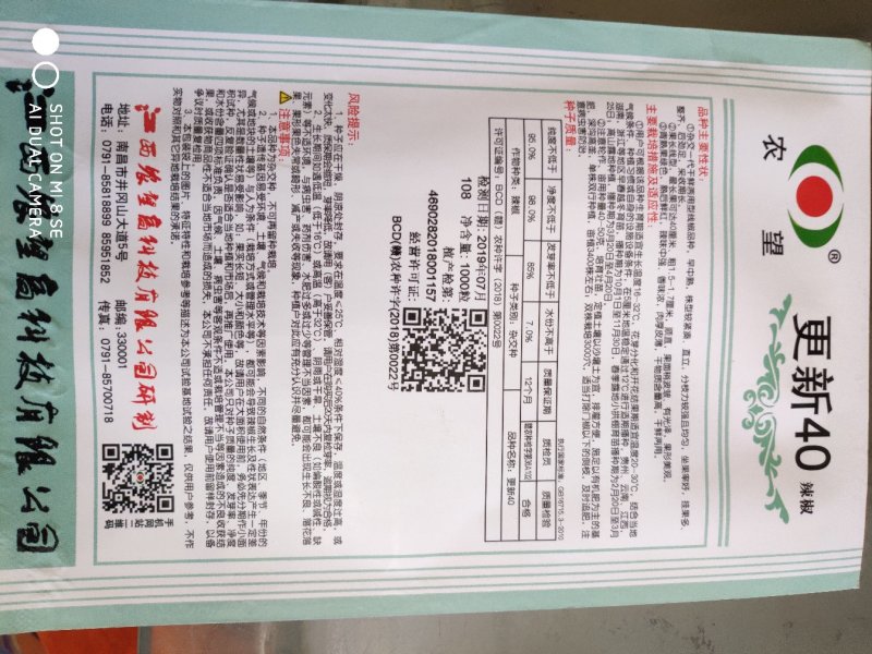 更新40线椒种子早熟干鲜两用线椒品种肉厚皮薄香味浓